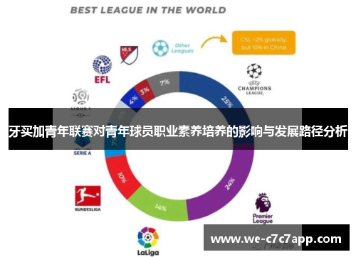 牙买加青年联赛对青年球员职业素养培养的影响与发展路径分析 牙买加青年联赛对青年球员职业素养培养的影响与发展路径分析